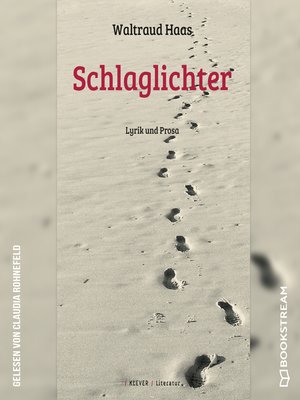 cover image of Schlaglichter--Lyrik und Prosa
